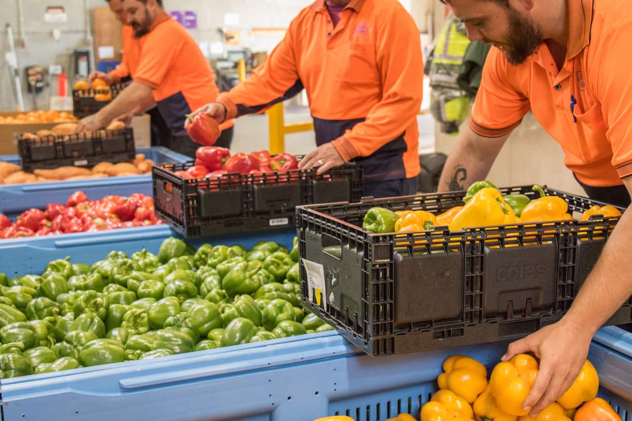 Foodbank packing vegies.jpg
