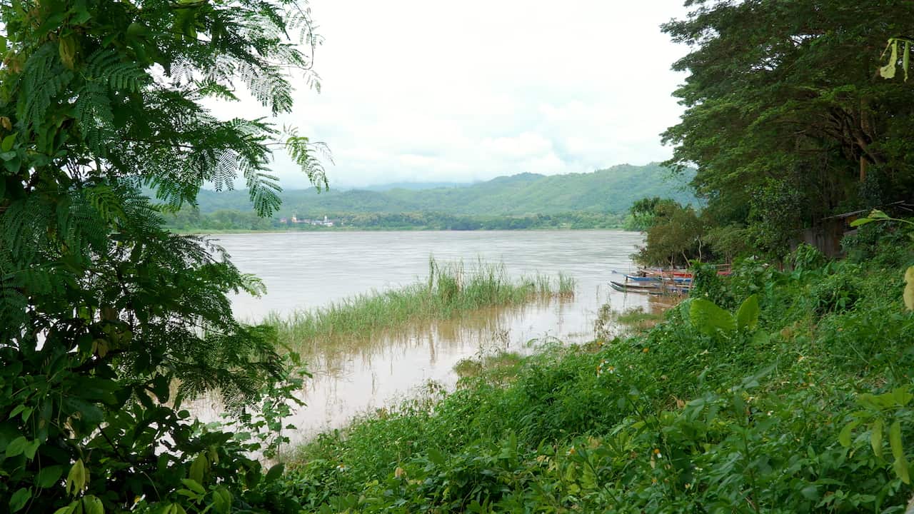 A wide river with lush greenery surrounding it
