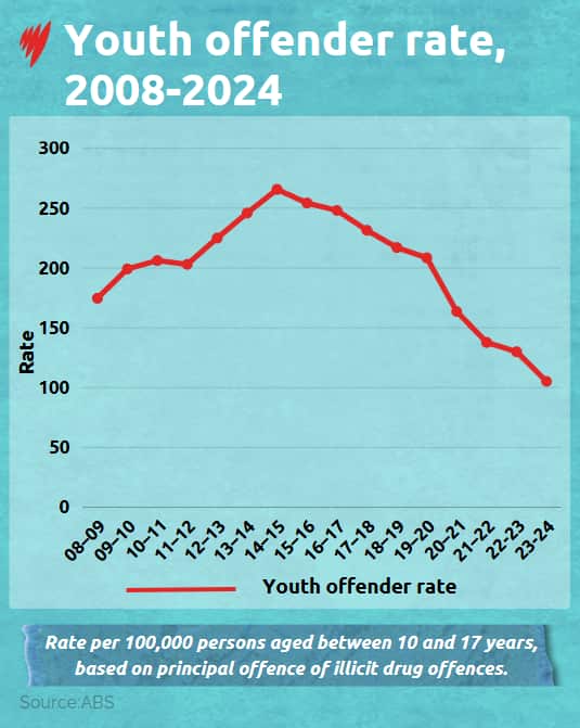A chart showing youth offender rates from 2008-2024. 