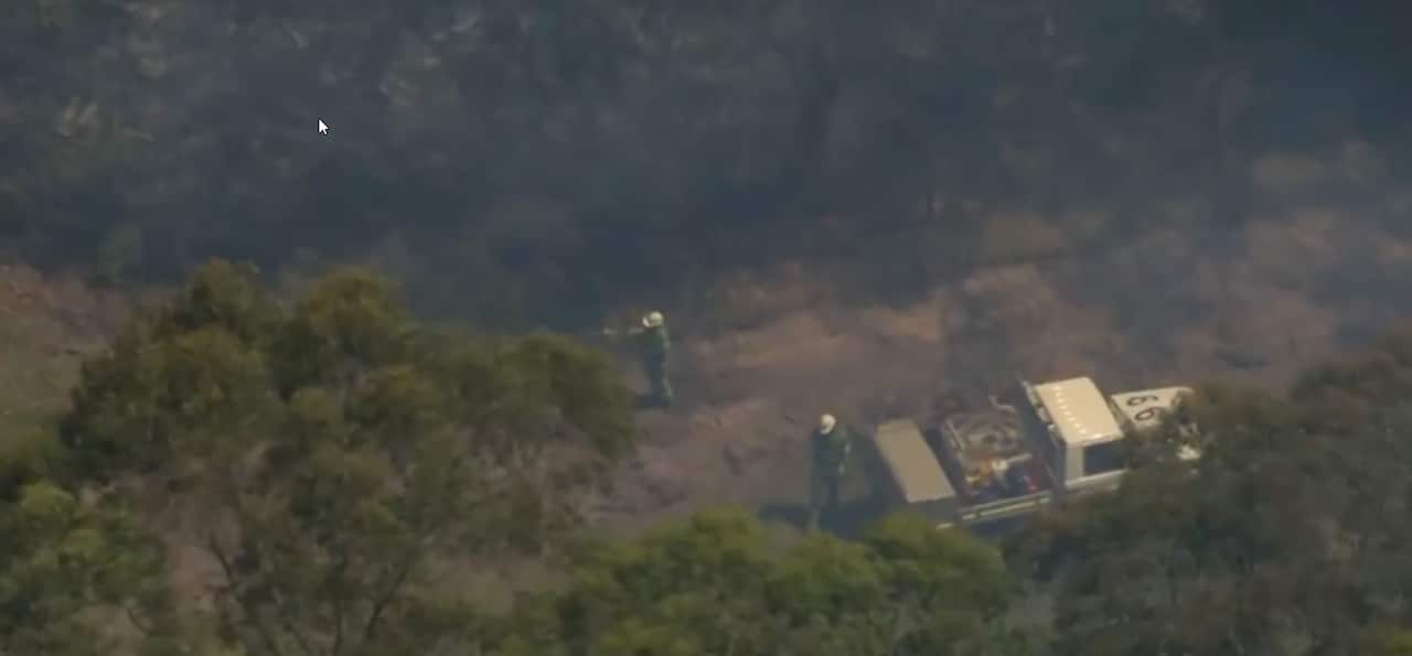 Two firepersons battle a bushfire