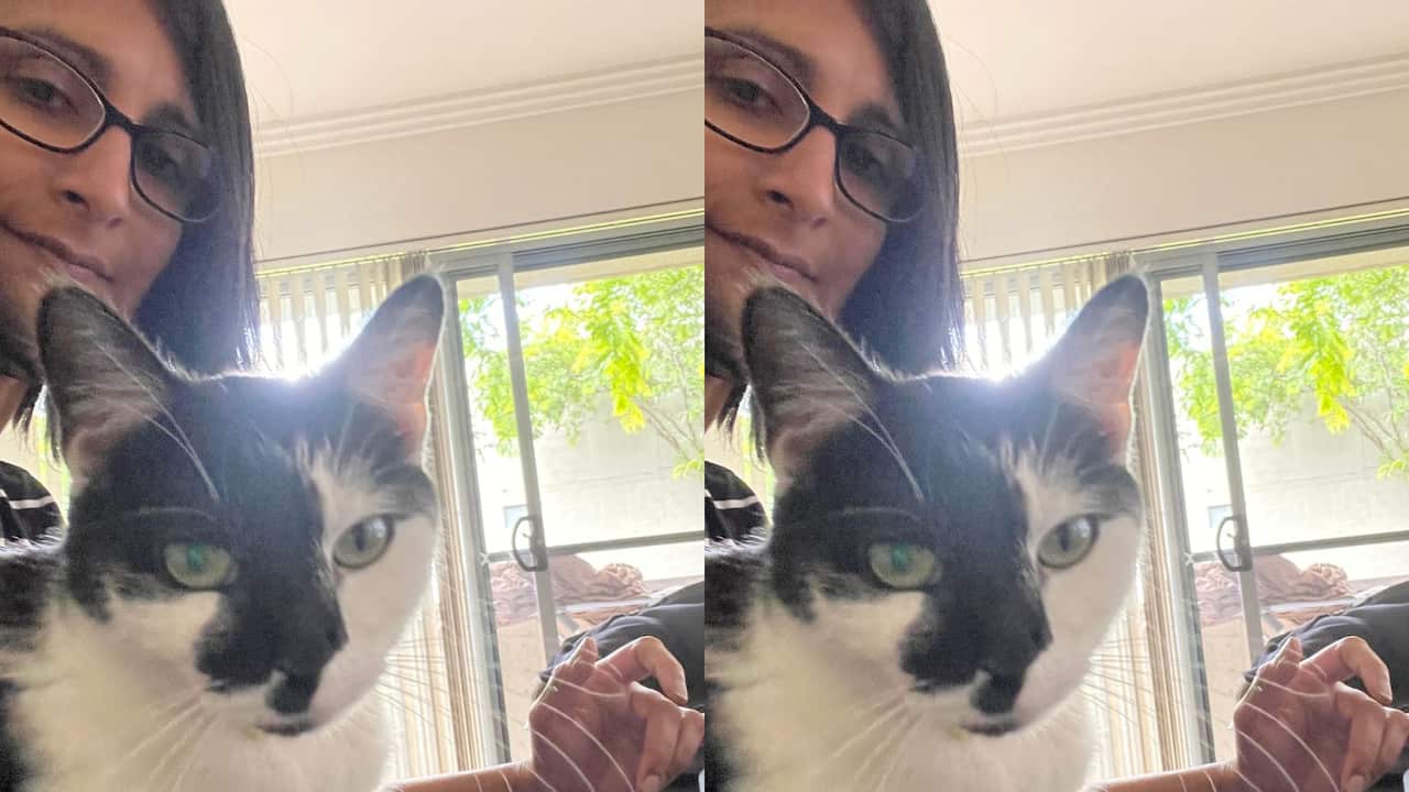 a side by side double selfie of a woman with dark hair and glasses and a white and black cat on her lap