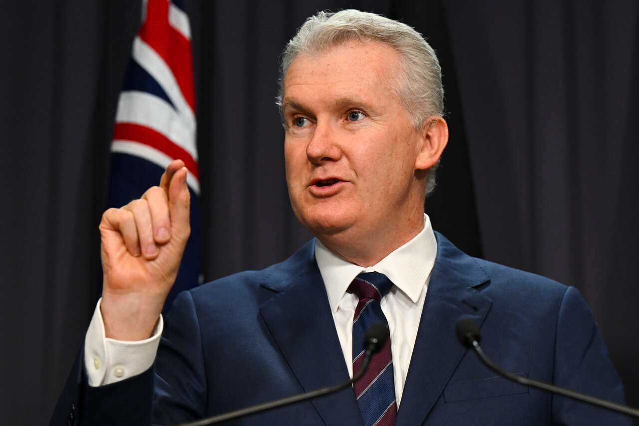 Employment Minister Tony Burke