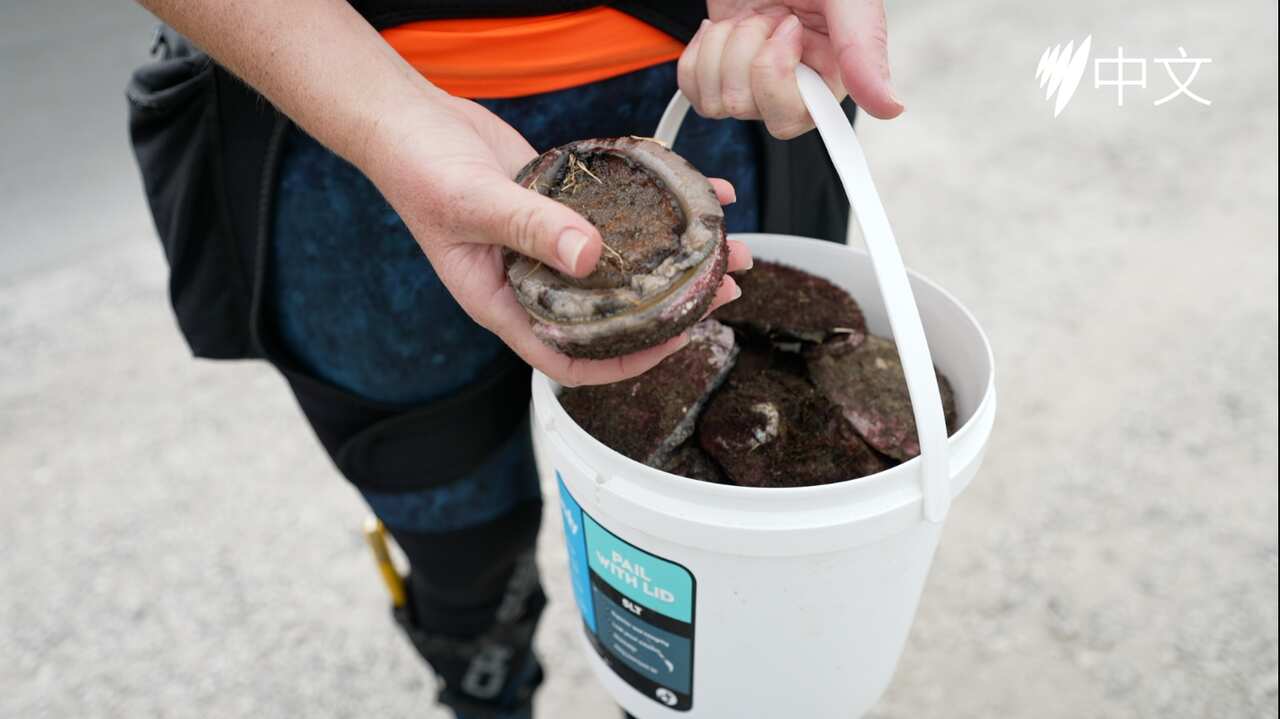 MicrosoftTeams-image (19).png