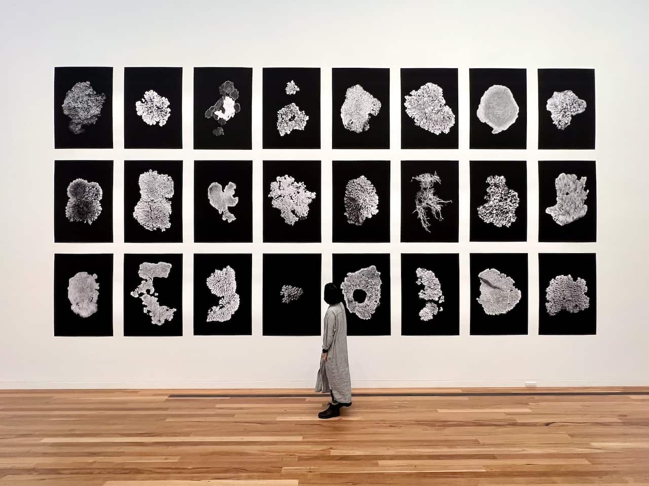 007 Park Dream -10.jpg