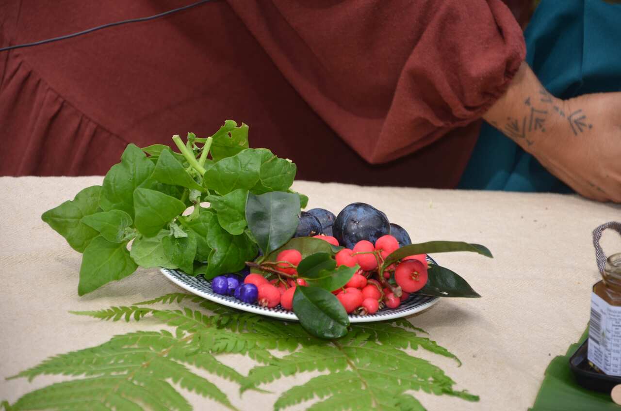 Davidson Plum rote Lilly Pilly und blaue Dianella plus Warrigal Greens Copyright Barbara Barkhausen.JPG