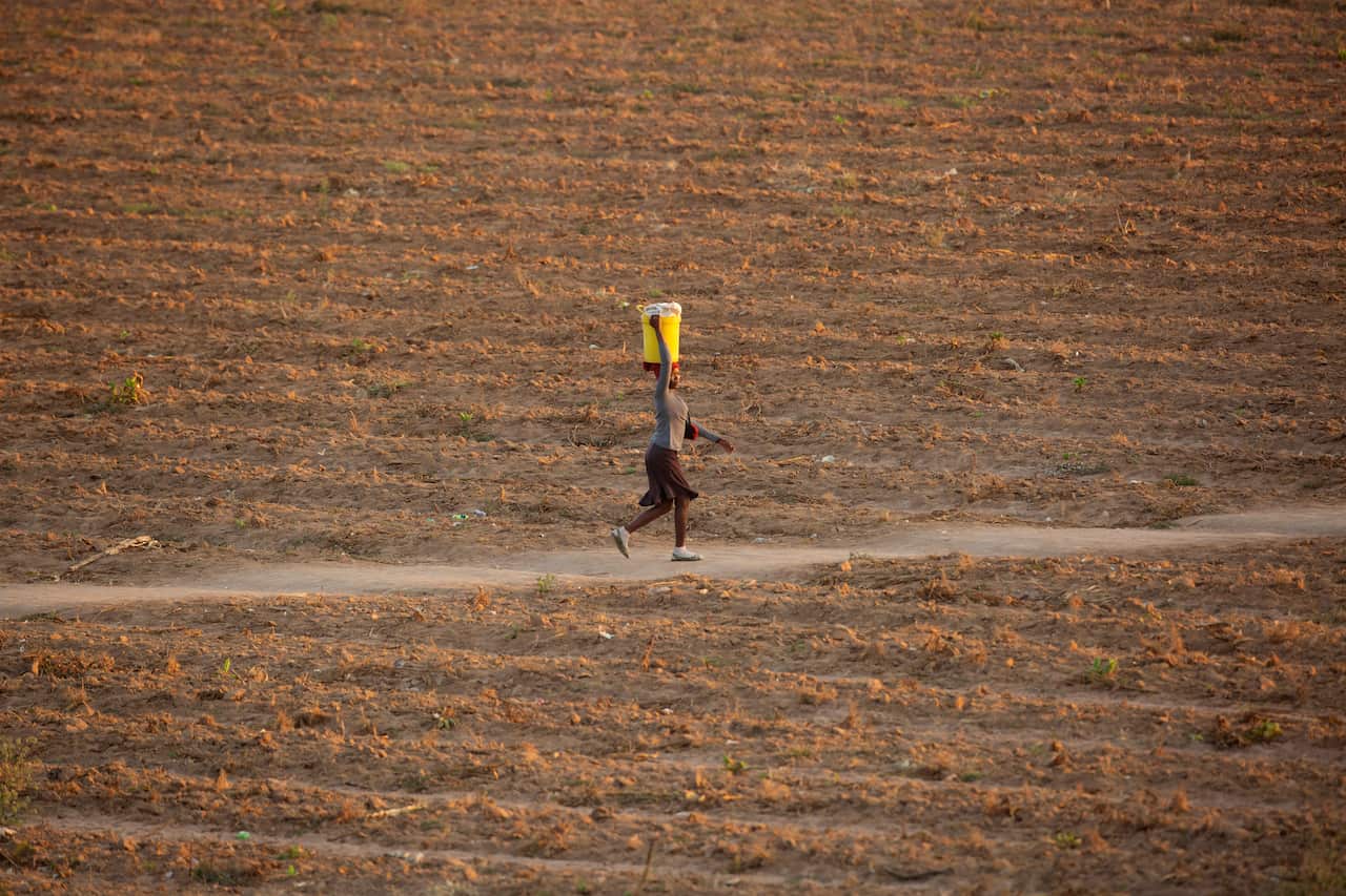  A lone woman walks along a path in a deserted and arid field, carrying a yellow bucket on her head.