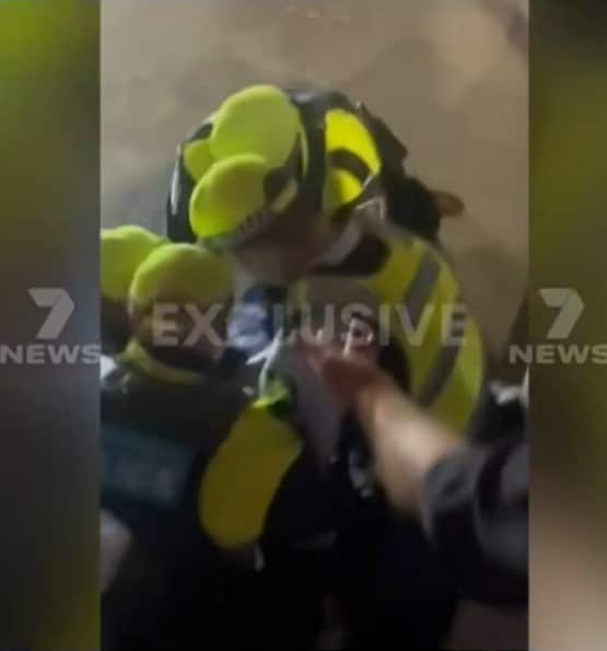 Annotation 2023-02-06 103721.jpg