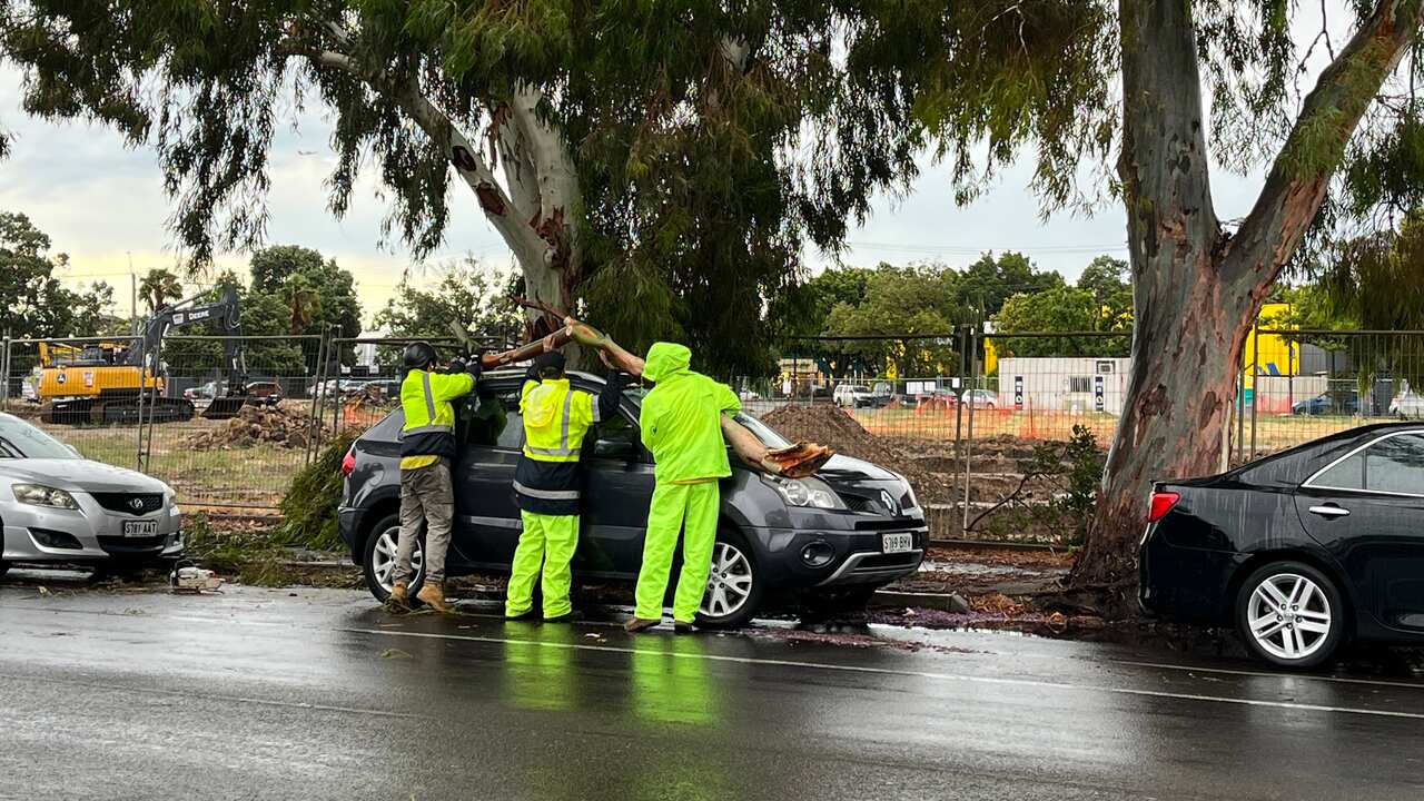 Three rescue workers are removing a fallen branch from a car