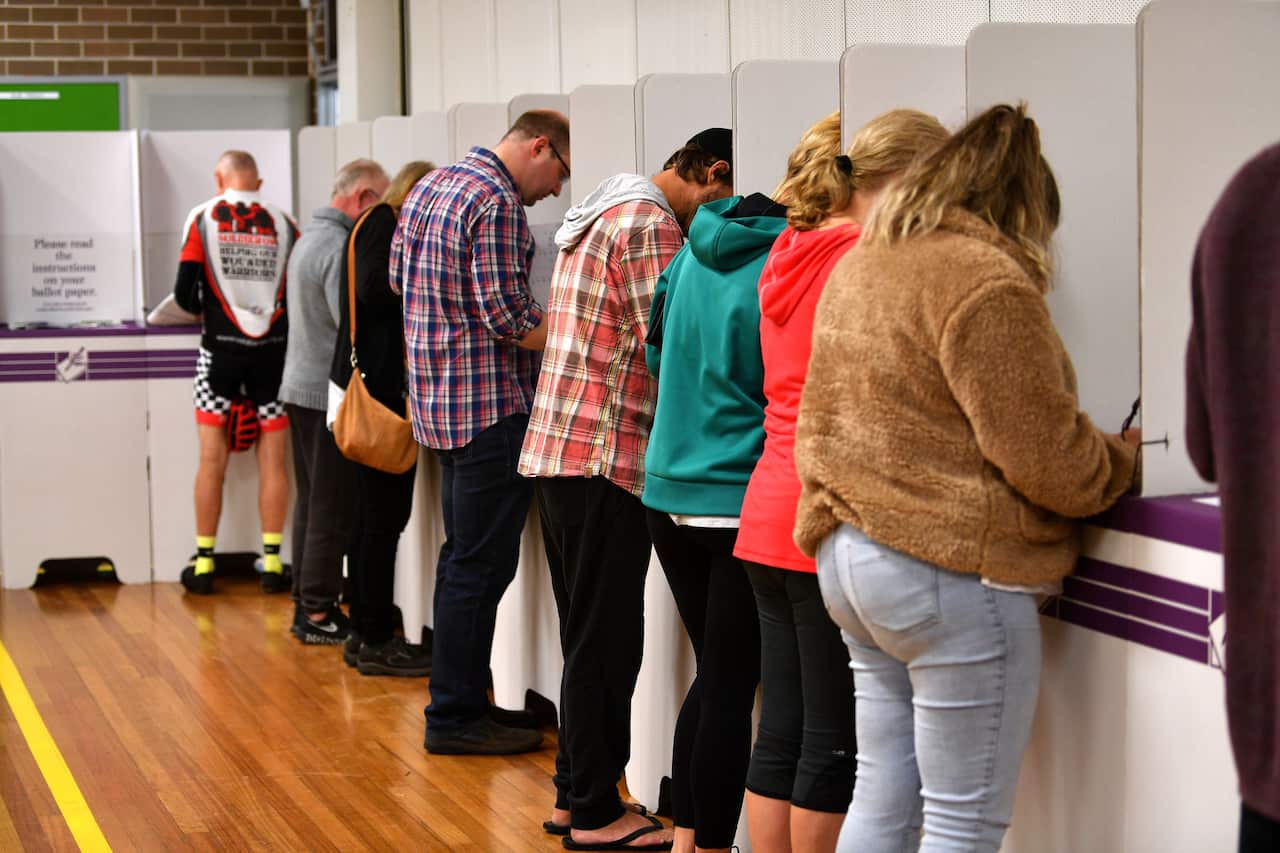 Nine people's backs as they face towards individual polling booths lined up next to one another.