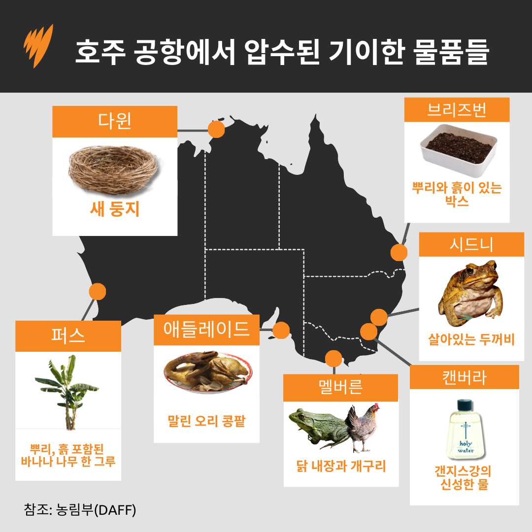 A map of Australia showing a risky item seized at major aiports across the country, including dried duck kidneys, a live toad, birds' nests and chicken intestines.
