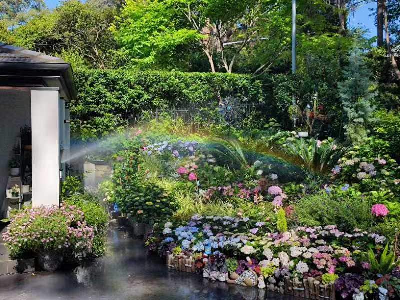 The “man-made rainbow” in Summer’s garden