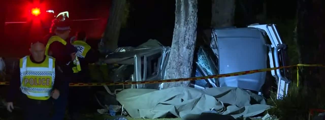 Police at the scene of a scene where a car is crashed near a tree. 