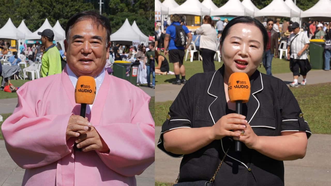 2026 시드니 코리안 페스티벌 주최자.png