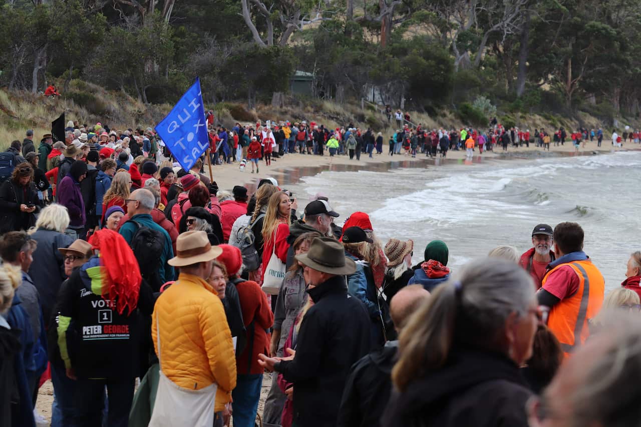 A large group of people stand on the narrow edge of a curved beach.