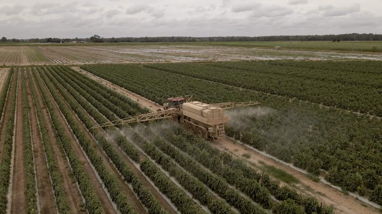 A vehicle spraying crops on a farm