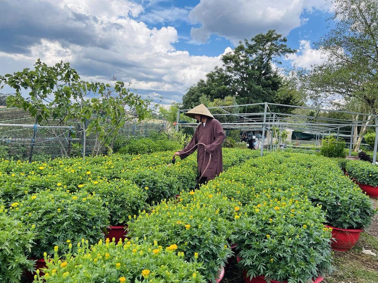 Thay Hanh Pham tuoi hoa.jpg