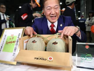 Japanese melons for auction in a wooden box with a man displaying them.