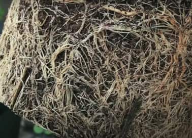 Screenshot 2024-08-09 102247.png