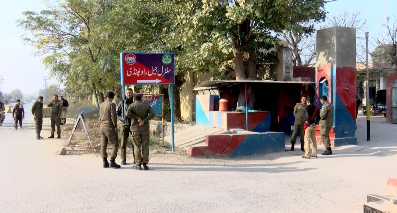 WhatsApp Image 2024-10-23 at 07.17.11.jpeg