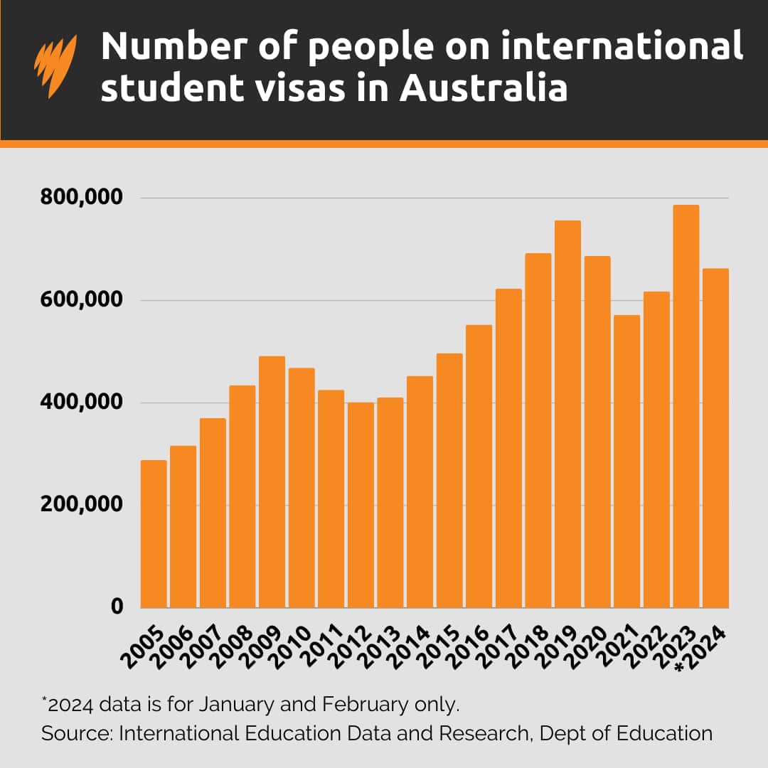International Student Visas.png