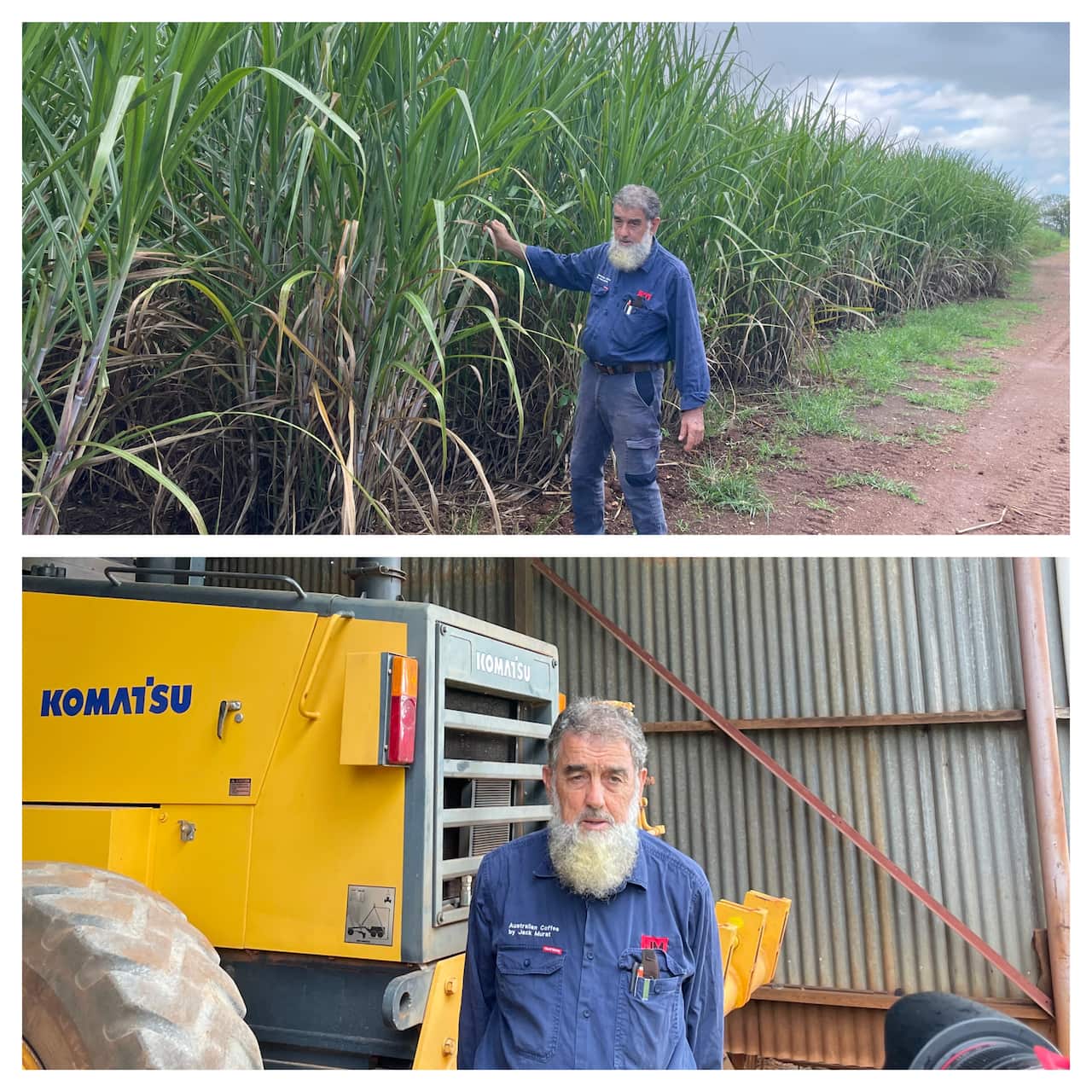 Skender Murat at his Mareeba farm.