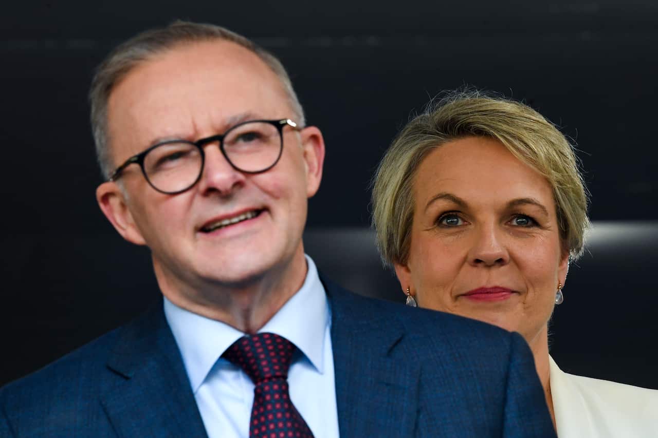 Man is suit stands in front of woman in suit.