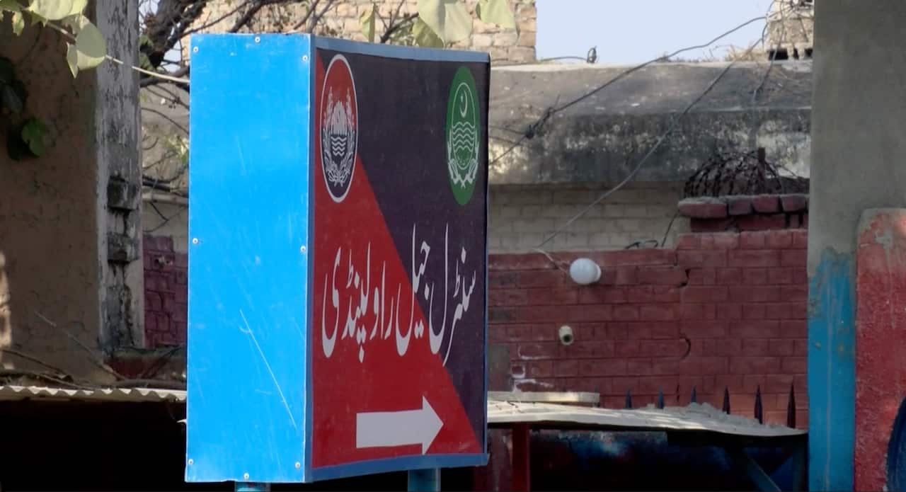 WhatsApp Image 2024-12-18 at 06.26.49 (1).jpeg