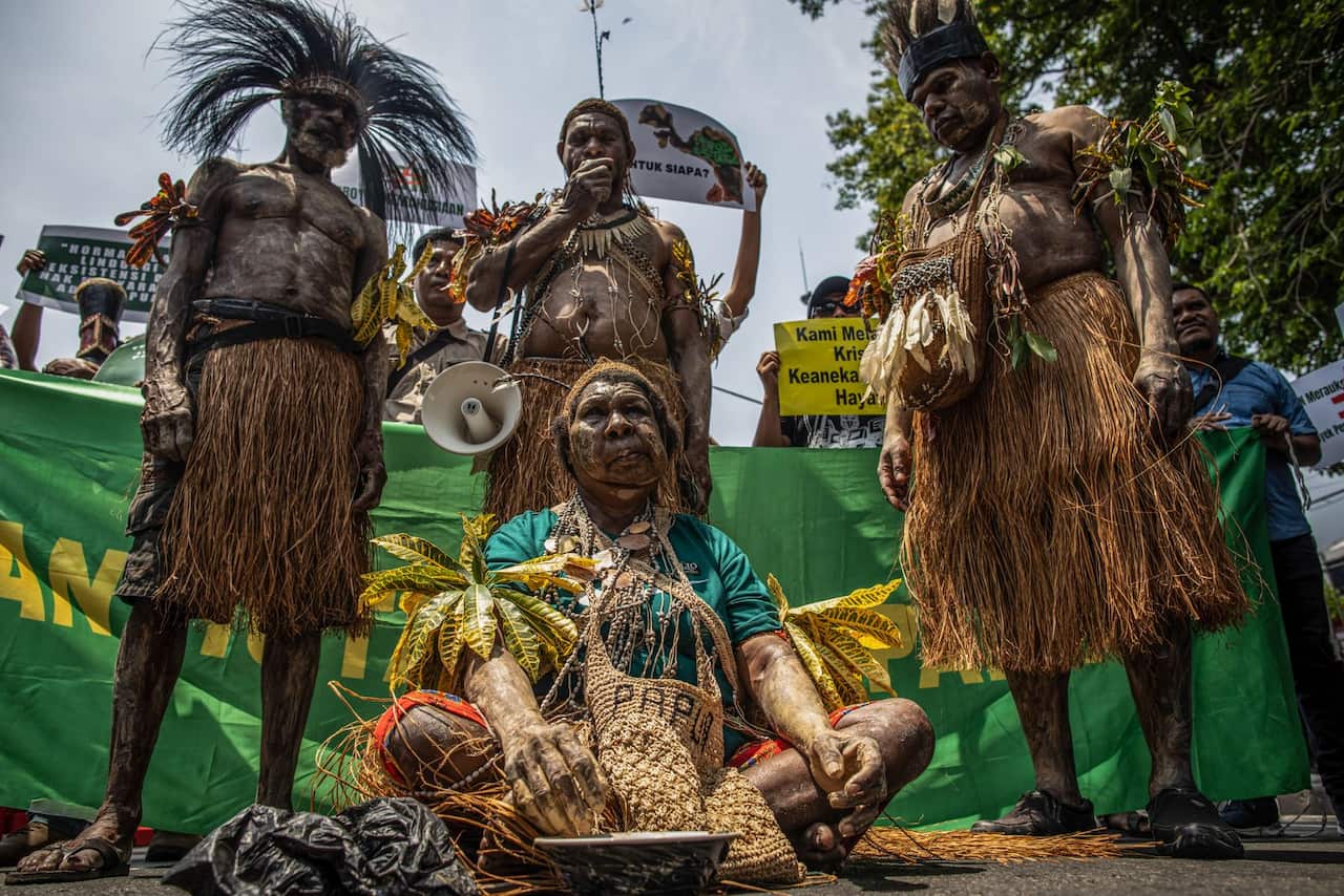 Proyek Proyek Strategis Nasional (PSN) Meruake akan berdampak pada lebih dari 50.000 masyarakat adat yang tinggal di 40 desa di sekitar dan di dalam wilayah proyek.