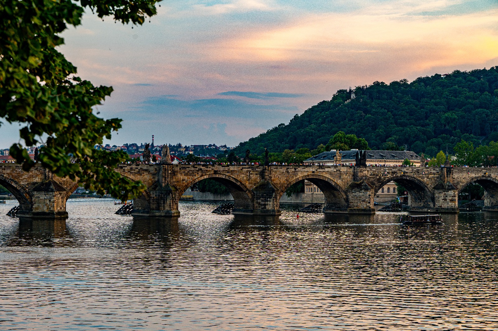 247b2c43-fd4e-46be-965f-d2eabdbd60f6.jfif