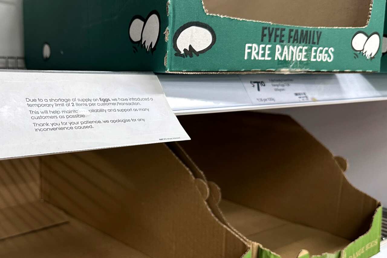 Empty containers that would normally contain egg cartons sit on a shelf. There is a note about egg buying limits.