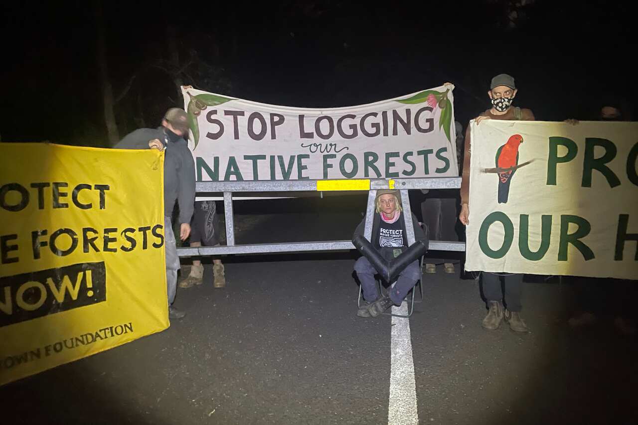 A group of protesters on a road holding up signs.