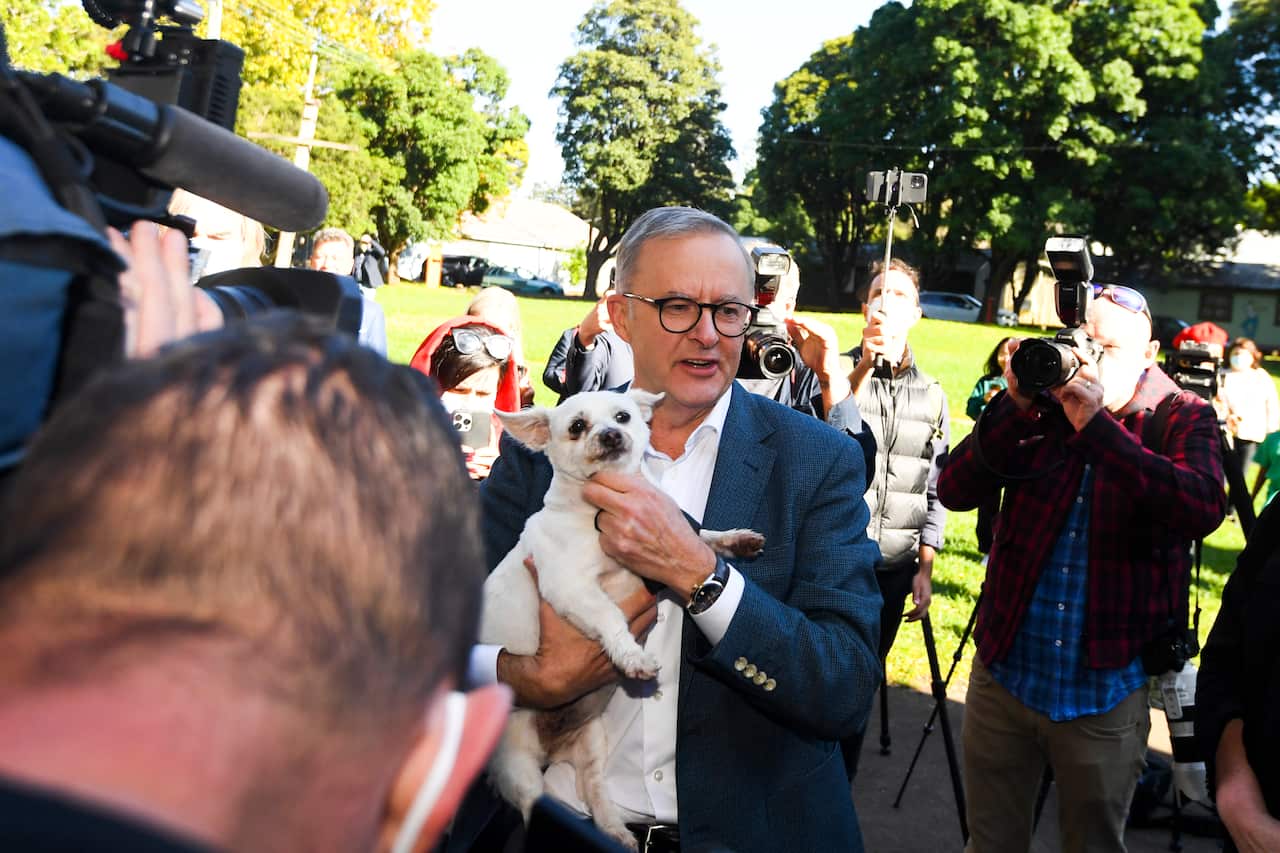 Anthony Albanese holds a dog