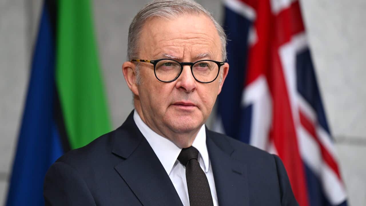 Anthony Albenese.png