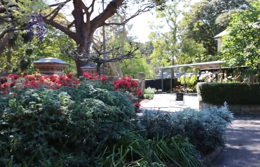 Spring Walk_Royal Botanic Garden Sydney.png