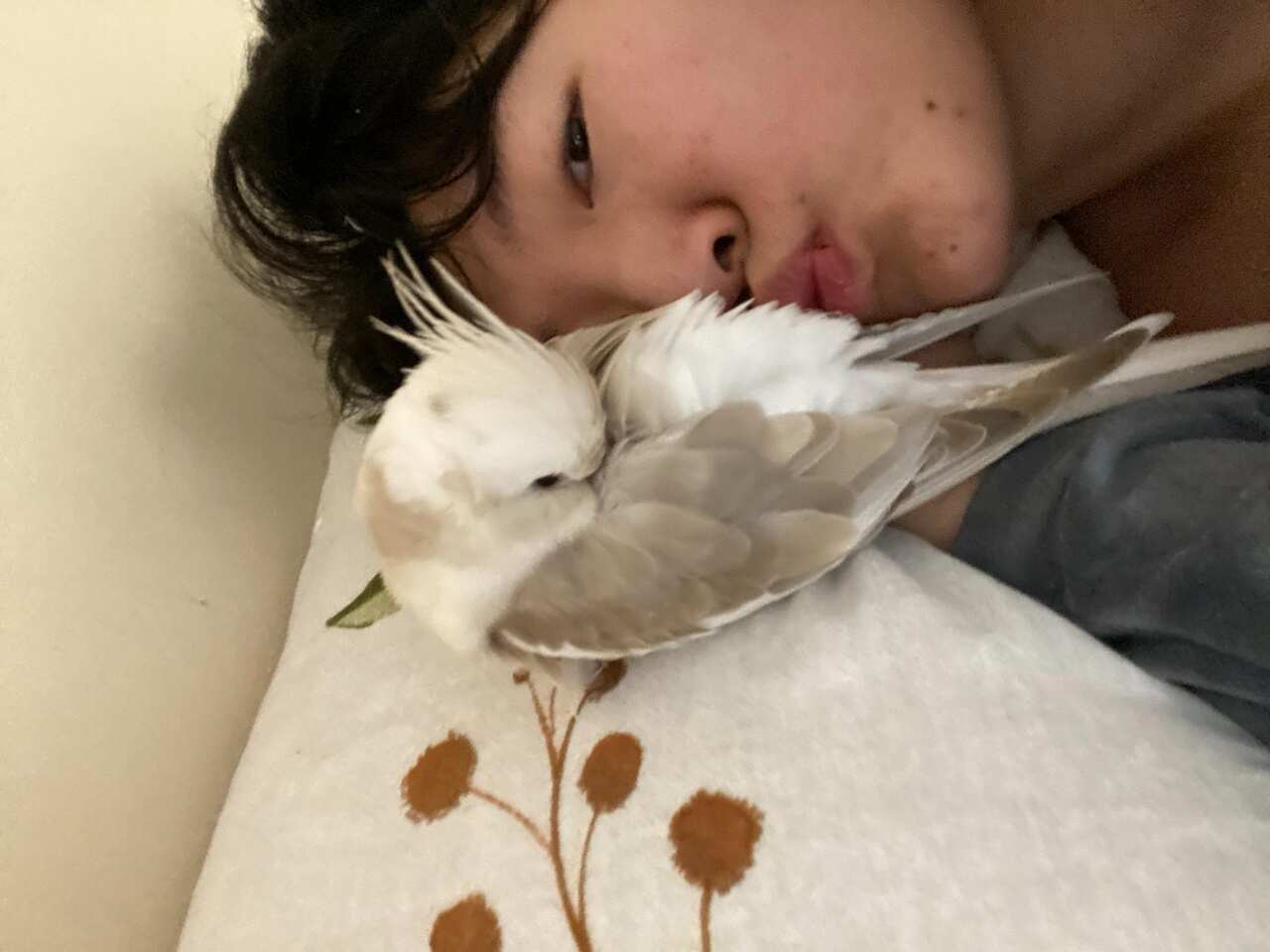 Zoo 與寵物鳥在床上睡覺。