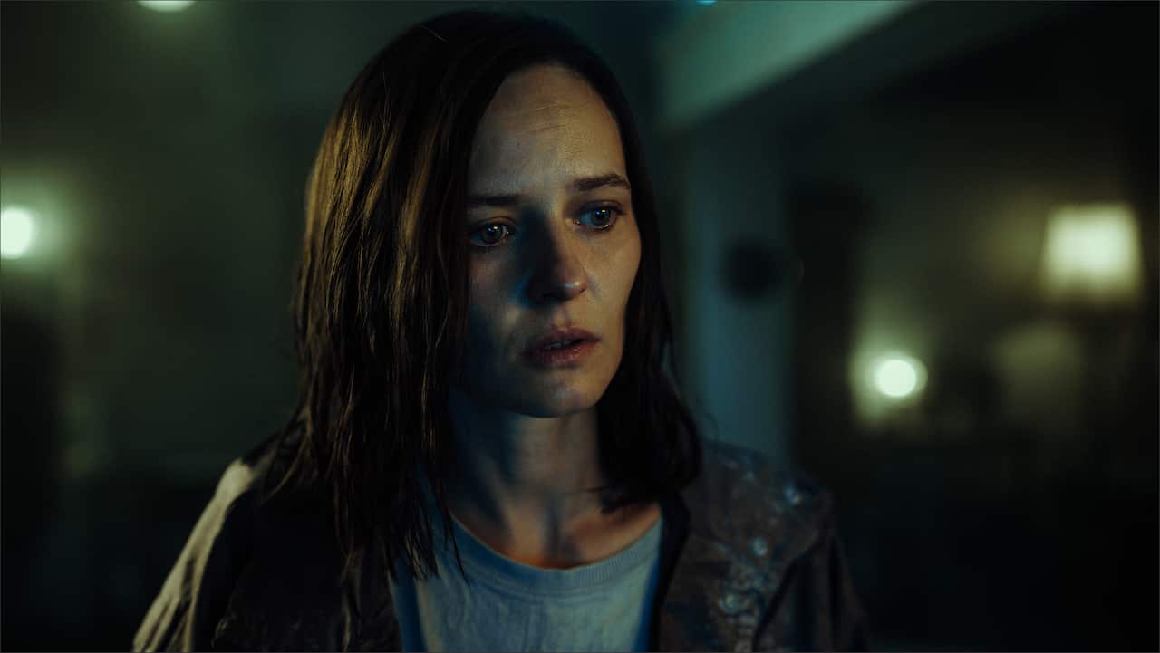 CZARNE_STOKROTKI_CANAL+ ORIGINAL