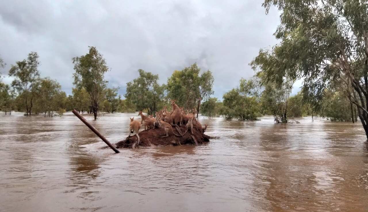 KIMBERLEY FLOODING WA