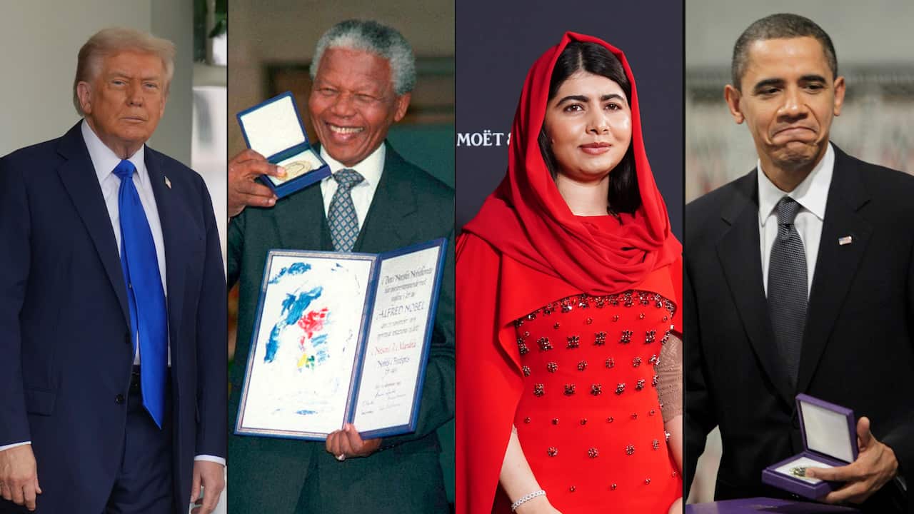 A four-panel collage featuring (from left to right) Donald Trump, Nelson Mandela, Malala Yousafzai, and Barack Obama. Mandela, Yousafzai, and Obama are all holding or displaying Nobel Peace Prize-related items, while Trump stands formally in a suit.