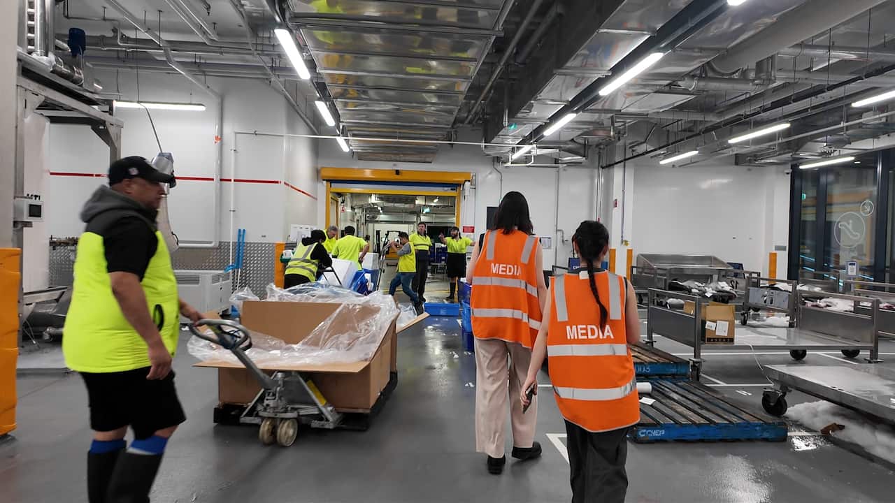 chợ cá tất bật từ sáng sớm.jpg