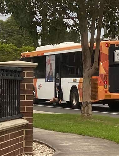 Screenshot 2026-04-23 082502.JPG