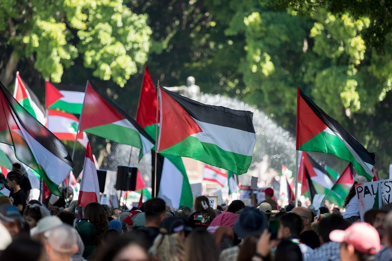 A large group of people holding and waving Palestinian flags.