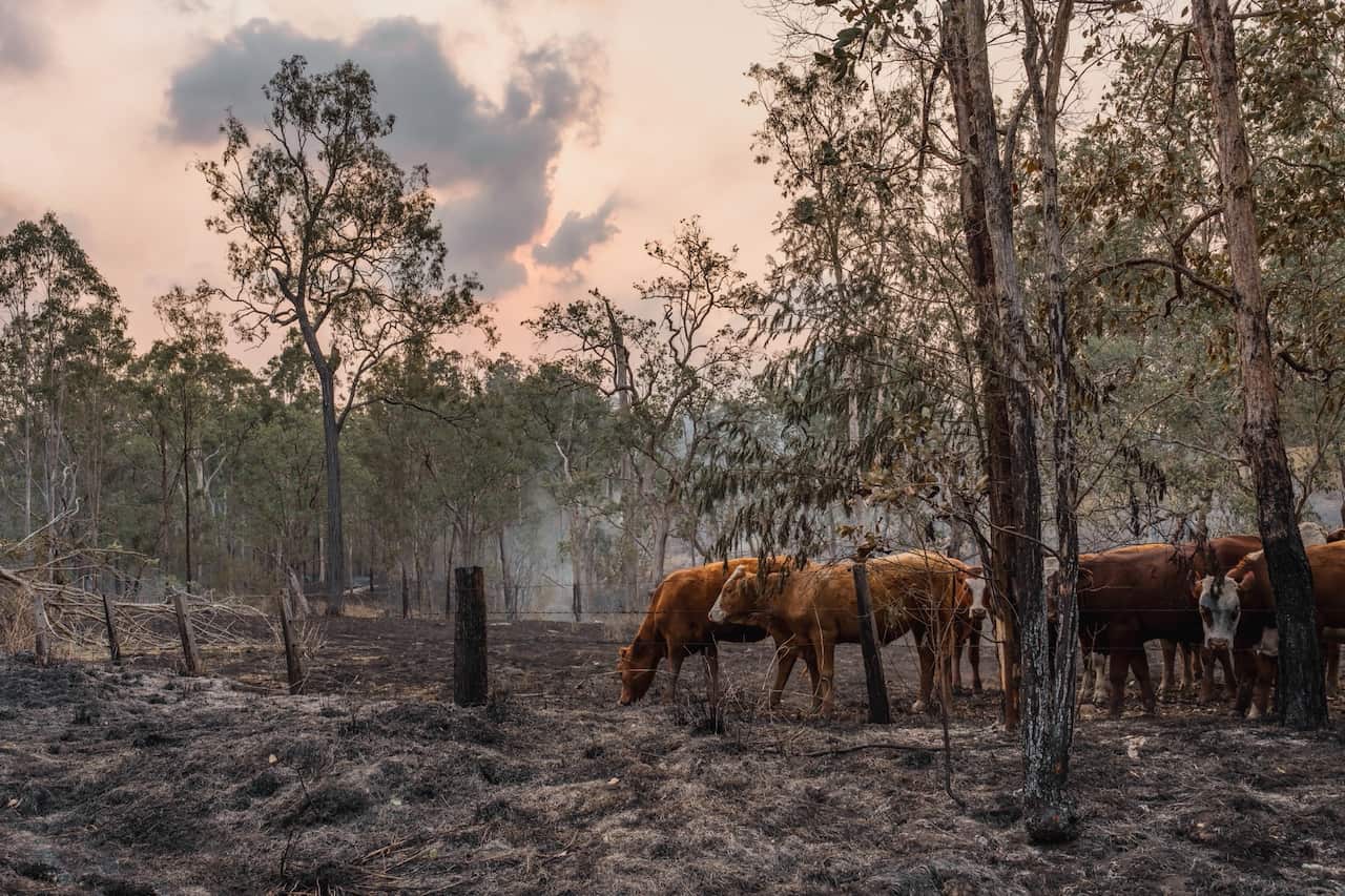By Photographer Mr. Jiayuan Liang 