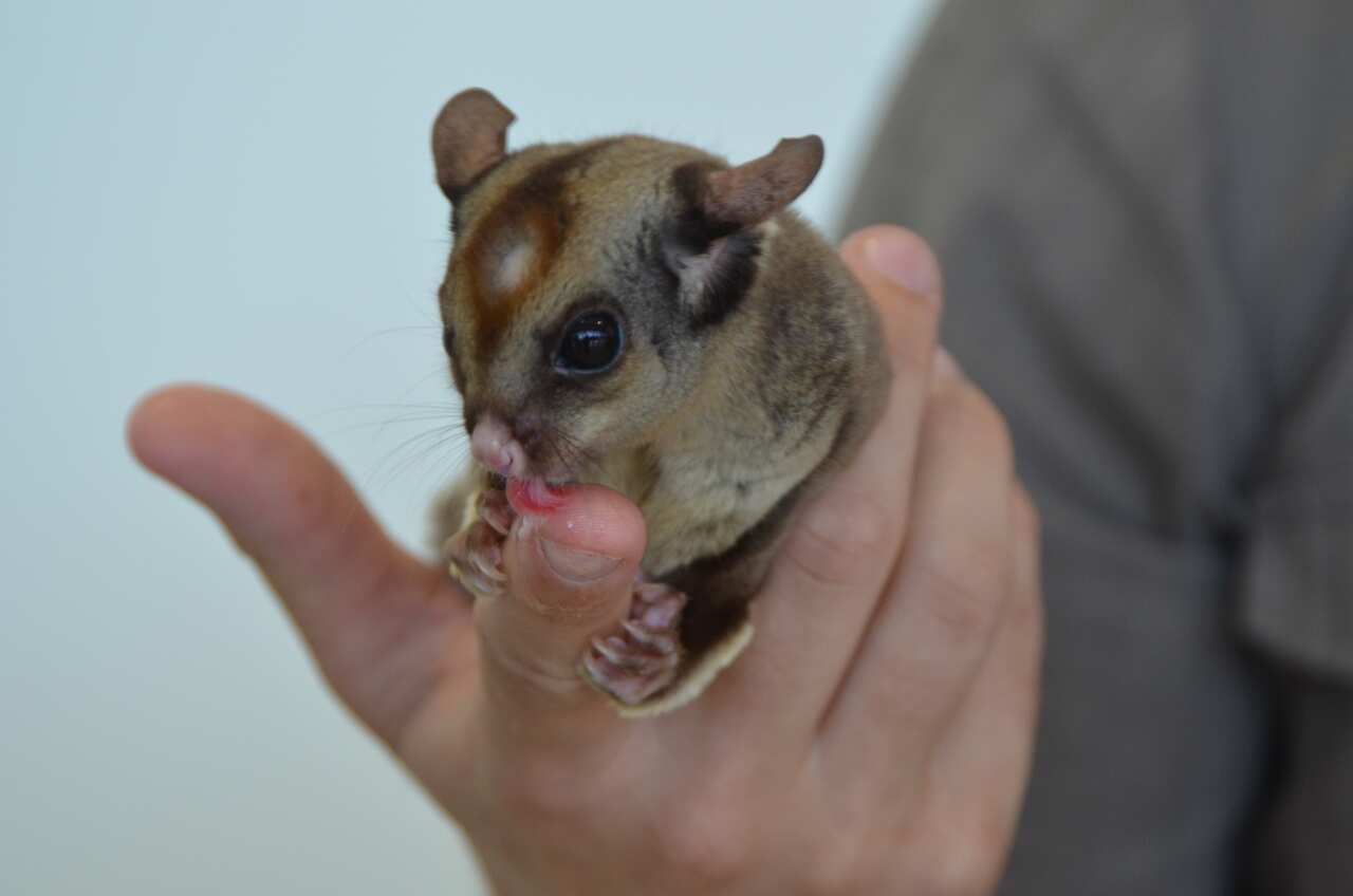 G20 FINANCE MINISTERS