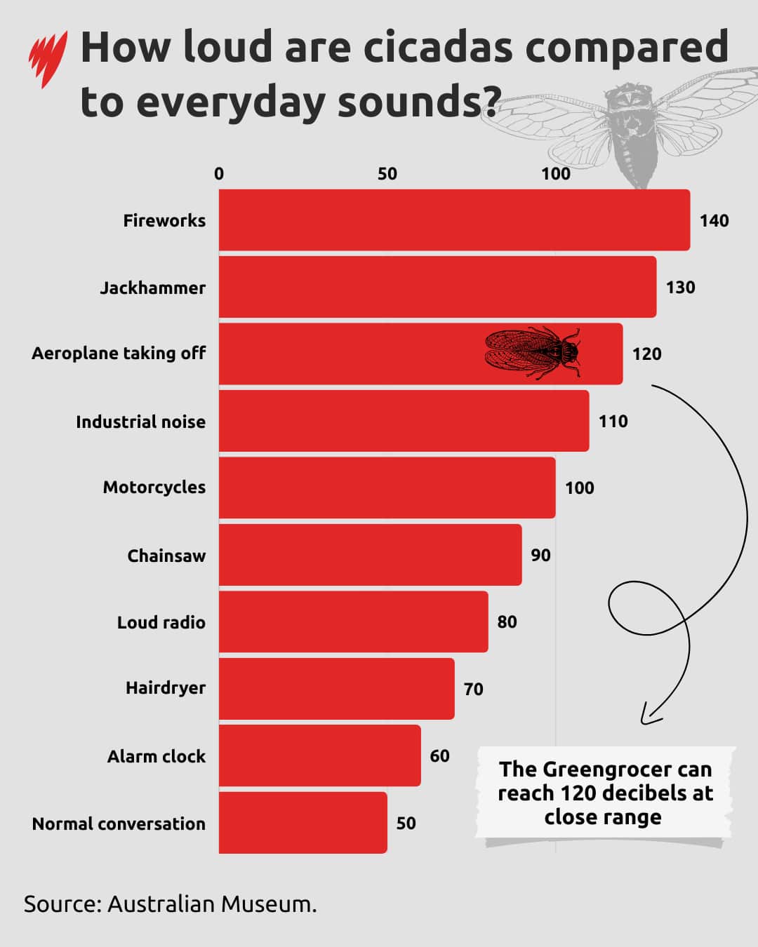 A graph showing how loud cicadas are compared to everyday sounds.