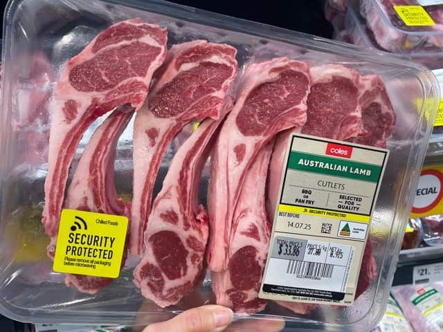 Mayu Tomaru Lamb 5.jpg