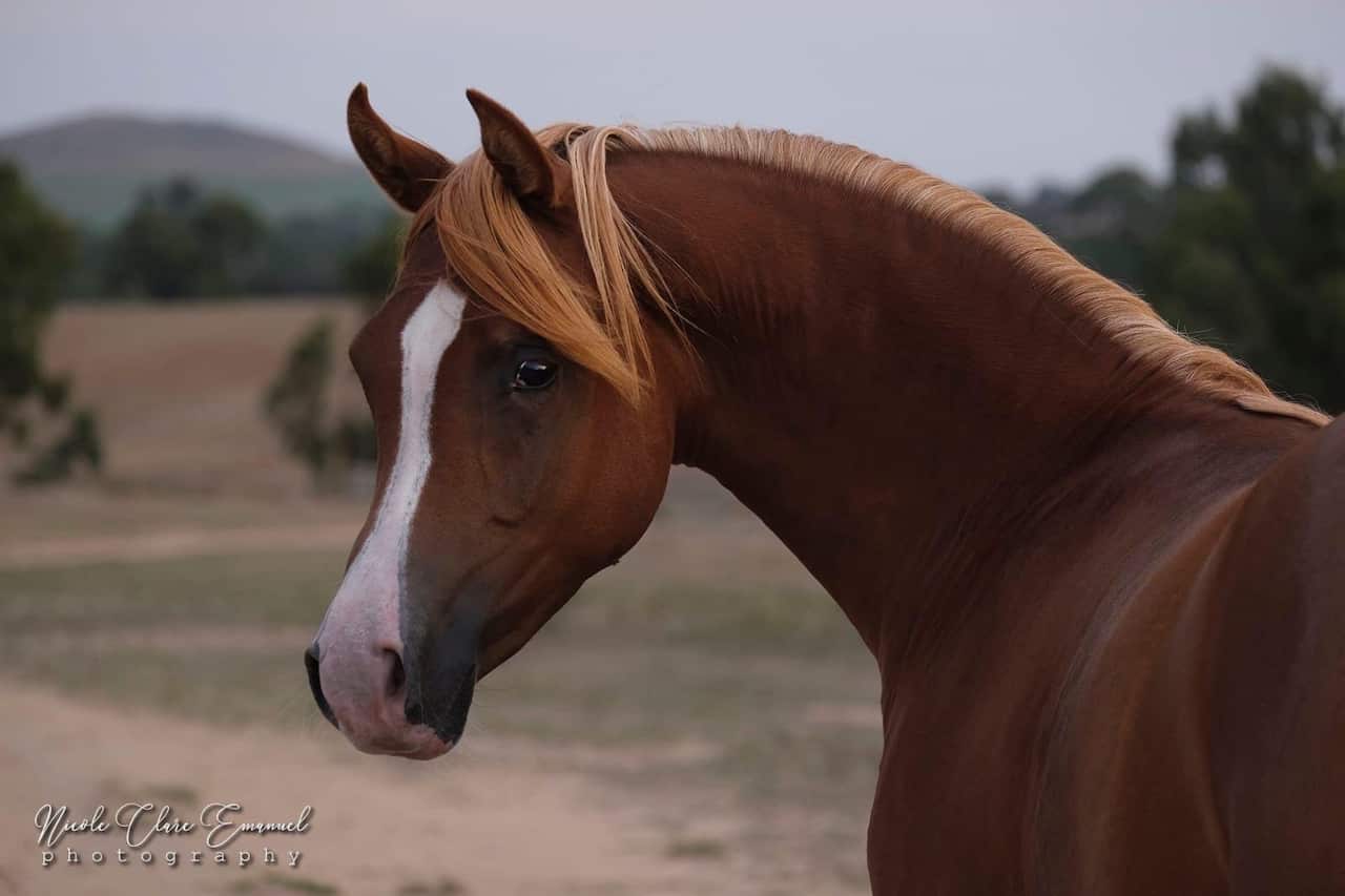 thumbnail_Image (1).jpg