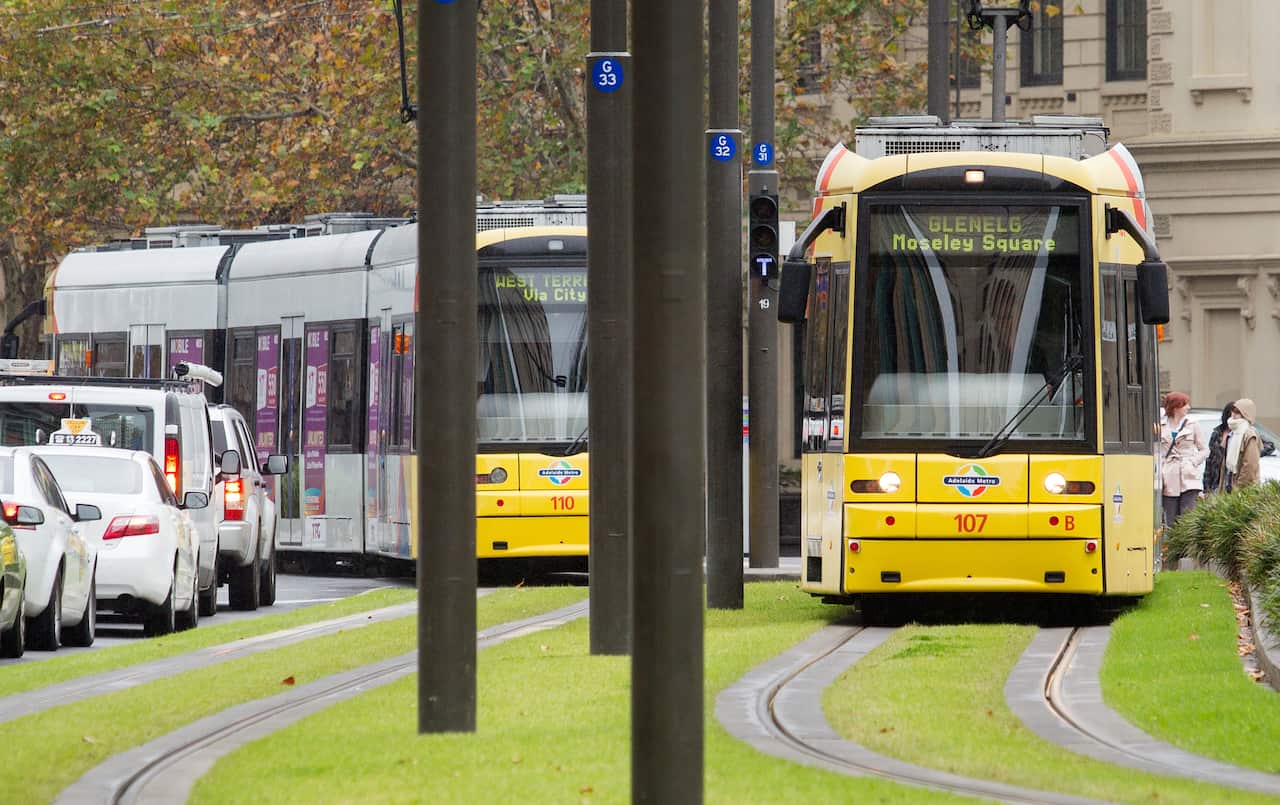 Two trams moving along lines. There are cars on the road next to them.