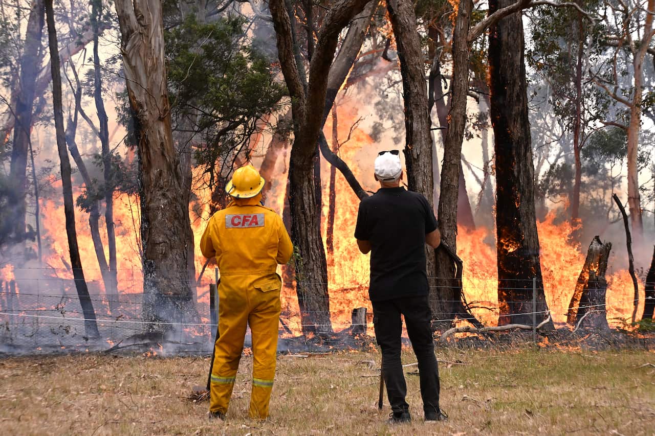 Two people look at a bushfire burning across a fenceline