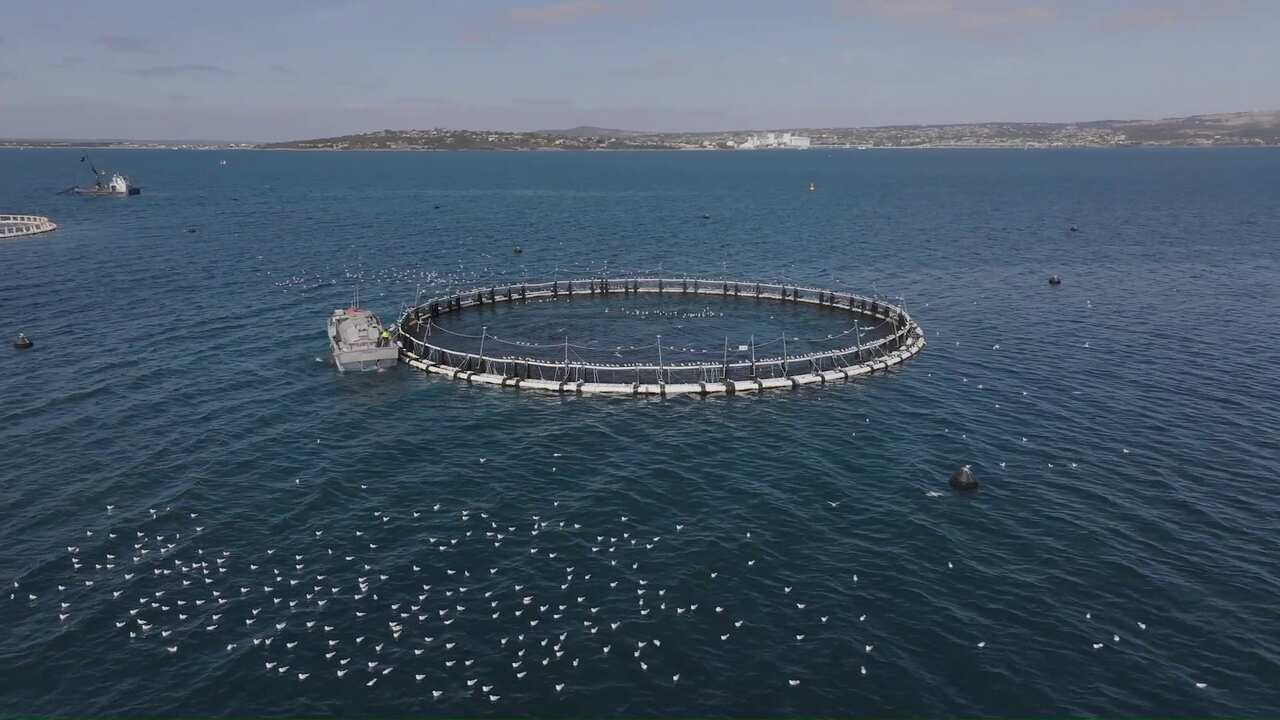 1.Spencer Gulf_aquaculture pens.png