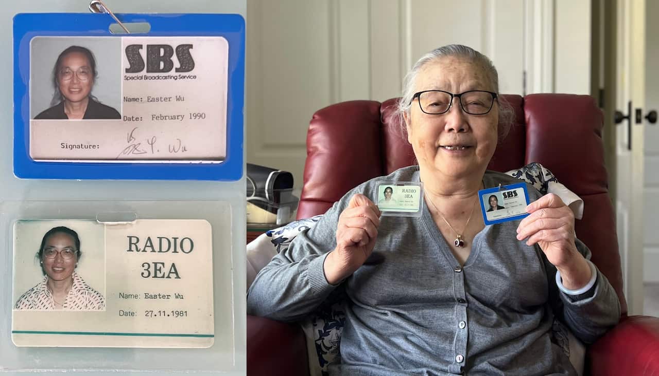 SBS前主持人吴于筑生(Easter Wu)女士至今保留着1981年和1990年时的两张SBS员工卡.png